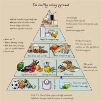 Daily Food Chart For Healthy Life