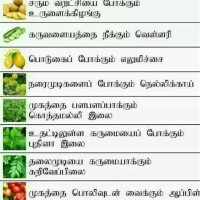 Daily Healthy Food Chart In Tamil