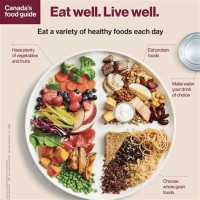 Daily Nutritional Requirements Chart Canada