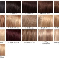 Dark Blonde Hair Dye Colour Chart