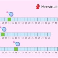 Days Past Ovulation Symptom Chart