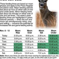 Deer Feeding Chart 2019