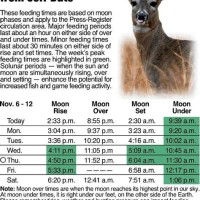 Deer Feeding Chart 2020