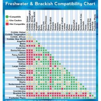 Deionized Water Patibility Chart