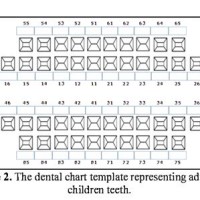 Dental Charting Practice Sheets