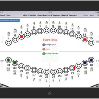 Dental Charting Practice Worksheets Uk