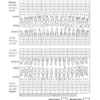 Dental Periodontal Charting Form