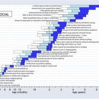 Denver Developmental Screening Chart