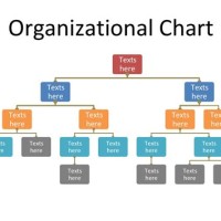 Department Anizational Chart Template