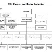 Department Of Homeland Security Anizational Chart