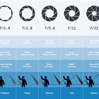 Depth Of Field Charts For Canon Lenses