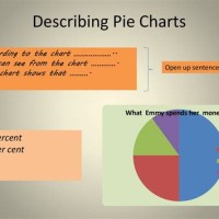 Describe Pie Charts