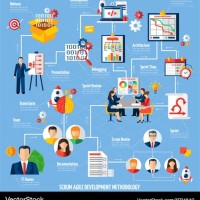 Development Flow Chart Vector