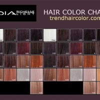 Dia Richesse Hair Color Chart