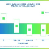 Diabetes Insulin Dosage Chart For Cats