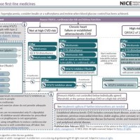 Diabetes Management Flow Chart Nice