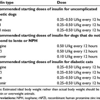 Diabetic Insulin Dosage Chart For Cats