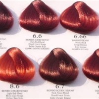 Diffe Shades Of Red Hair Color Chart