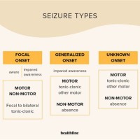 Diffe Types Of Seizures Chart