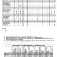 Diffeiation Of Enterobacteriaceae By Biochemical Tests Chart