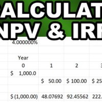 Difference Between P Chart And Npv