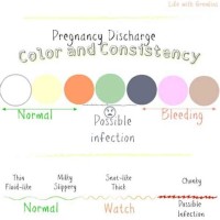 Discharge Color Chart During Pregnancy