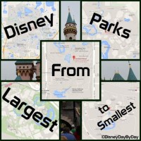 Disney Parks Size Chart