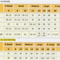 Dkny Women S Size Chart Uk