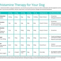 Dog Antihistamine Dosage Chart Loratadine