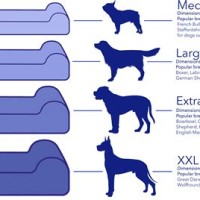 Dog Bed Size Chart