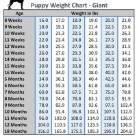 Dog Breed Size Chart By Weight