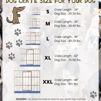 Dog Crate Size Chart Cm