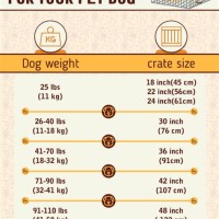 Dog Crate Size Chart