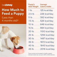 Dog Feeding Amount Chart