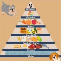 Dog Food Nutrition Parison Chart