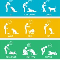 Dog Hand Signals Chart