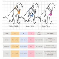 Dog Harness Measurement Chart