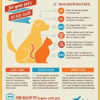 Dog Health Chart