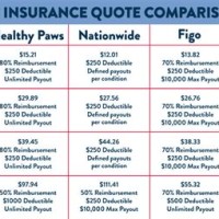 Dog Insurance Parison Chart