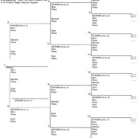 Dog Pedigree Chart Maker