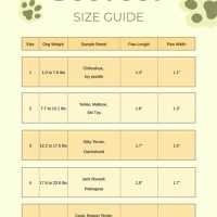 Dog Shoe Size Chart