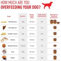 Dog Treat Calorie Chart Uk