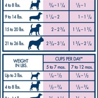 Dog Weight Feeding Chart