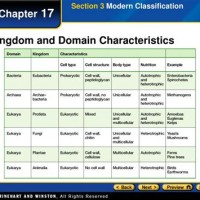 Domain And Kingdom Characteristics Chart