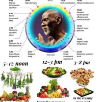 Dr Sebi Eating Chart