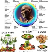 Dr Sebi Eating In Rhythm Chart