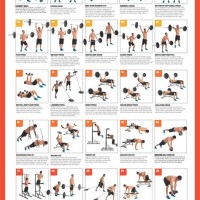 Dumbbell Exercise Chart Printable