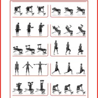 Dumbbell Exercise Chart