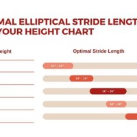 Elliptical Stride Length Height Chart