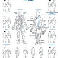 Empi Tens Unit Electrode Placement Chart